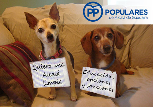 perros-limpios-educados-sanciones-pp